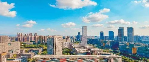 青春在這頭，夢想在那頭 成都朗力在天府軟件園的成長故事